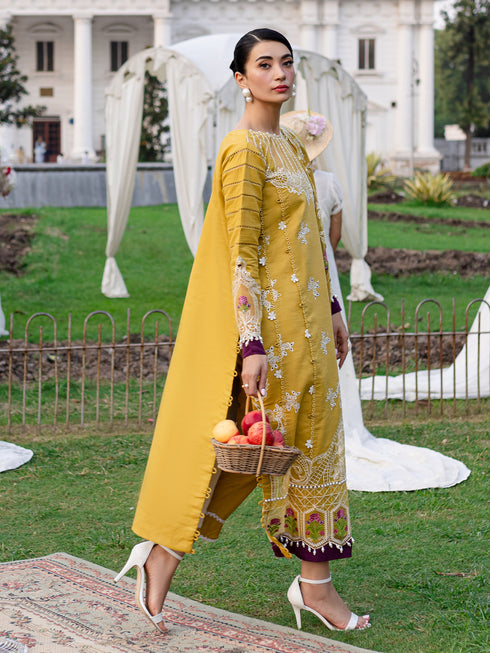 PN-11 | 3 PC Khaddar